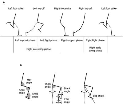 Kinematics of Maximal Speed Sprinting With Different Running Speed, Leg Length, and Step Characteristics